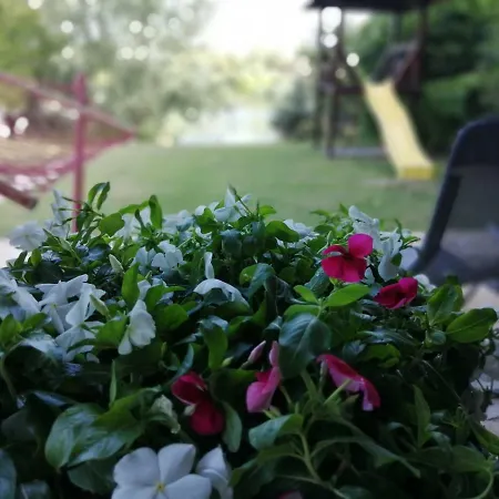 Oaza Kuca Za Odmor Curug