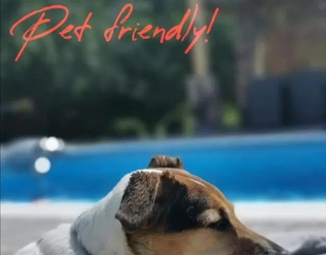 펜션 Oaza Kuca Za Odmor Curug